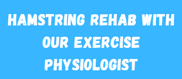 Hamstring Rehab Exercise Physiologist